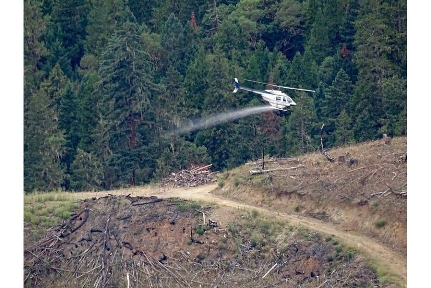 Berg 02 aerial eradication operation conducted by helicopter