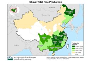 China_Total_Rice